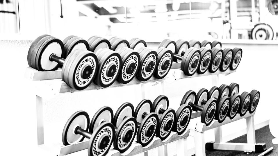 Reihe von Kurzhanteln auf einem Ständer in einem Fitnessstudio, vor einer Spiegelwand.