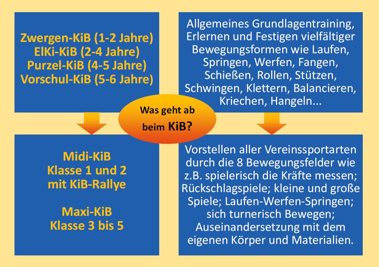 Infografik zu verschiedenen KiB-Gruppen für Kinder mit den Altersstufen und Bewegungsangeboten.