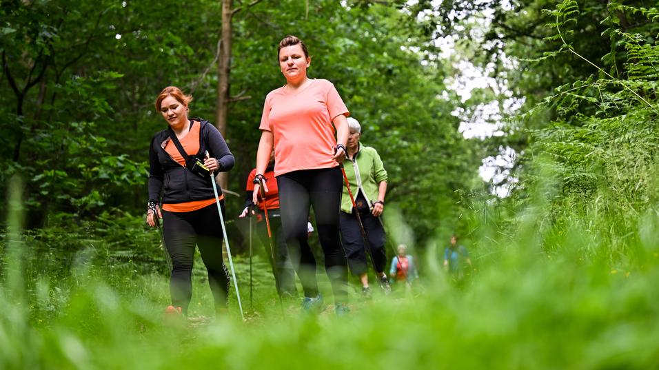 Gruppe von Personen wandert auf einem schmalen Pfad durch einen bewaldeten Bereich, umgeben von grüner Vegetation.